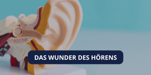 Das Wunder des Hörens Beitragsbild